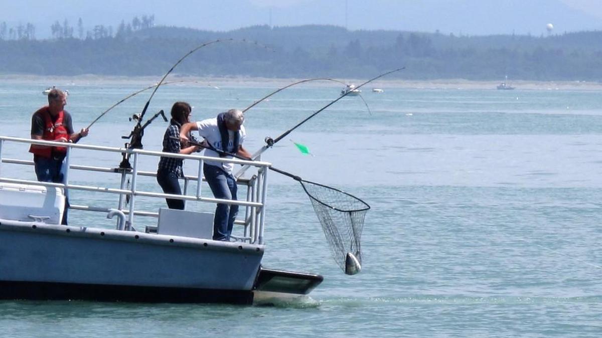 Anglers will be able to fish for a reduced number of chinook along Washington’s coast this year and will only be able to keep coho caught in the waters off the mouth of the Columbia River.