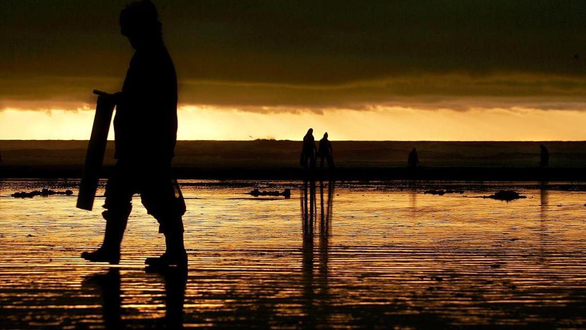 Twin Harbors returns to razor clam digging rotation