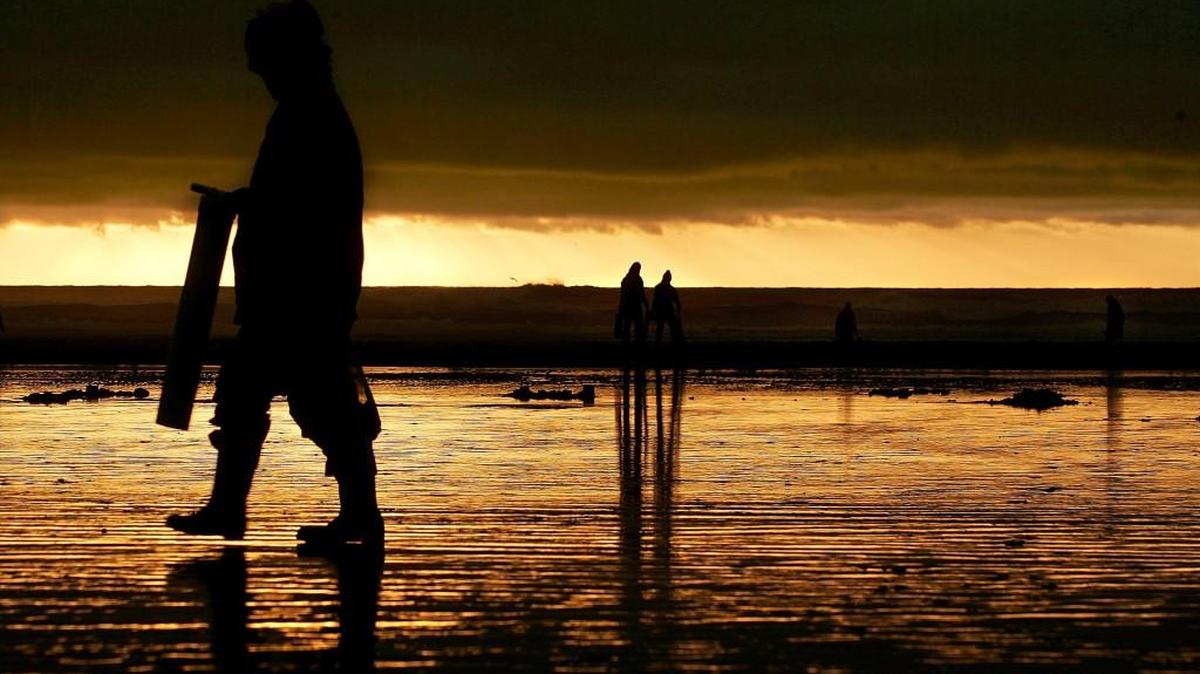 Twin Harbors beach opens Tuesday for razor clam digging. Its the first time since November digging has been allowed on the beach.