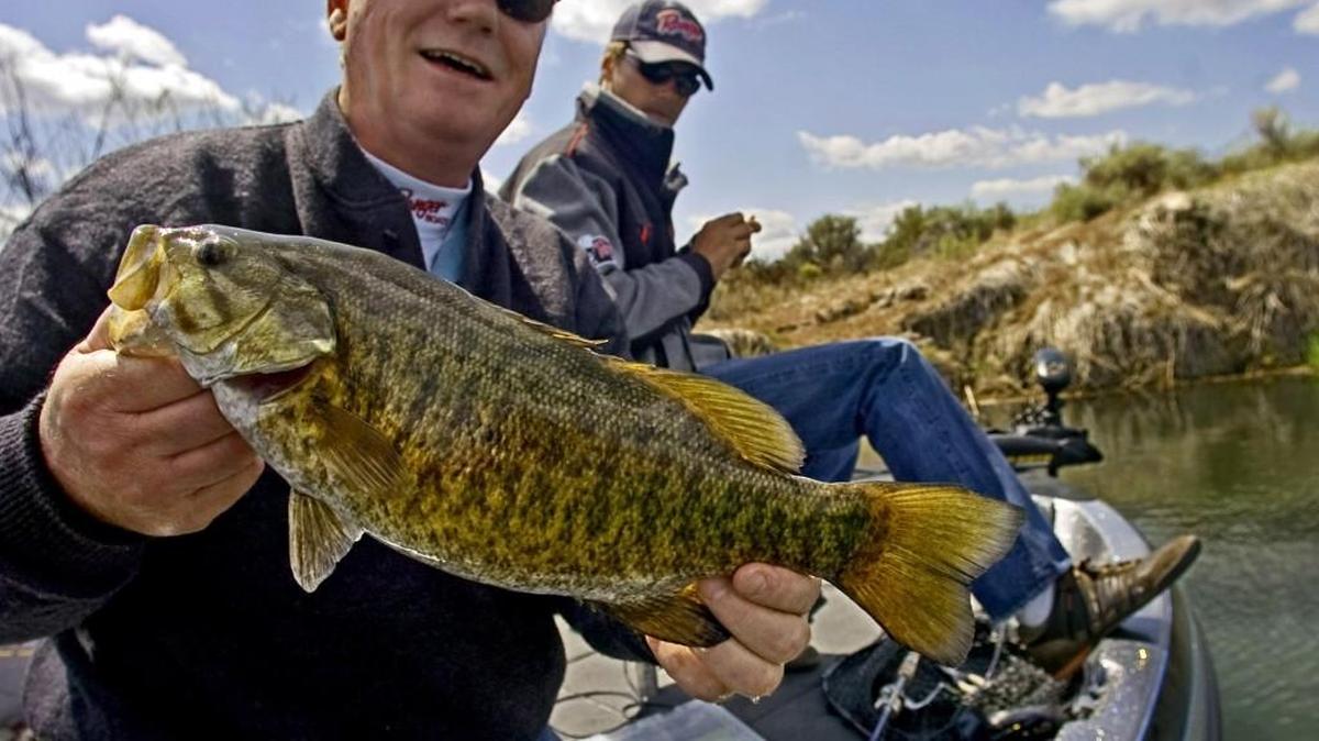 Smallmouth bass have been biting on Lake Tapps and Potholes Reservoir.