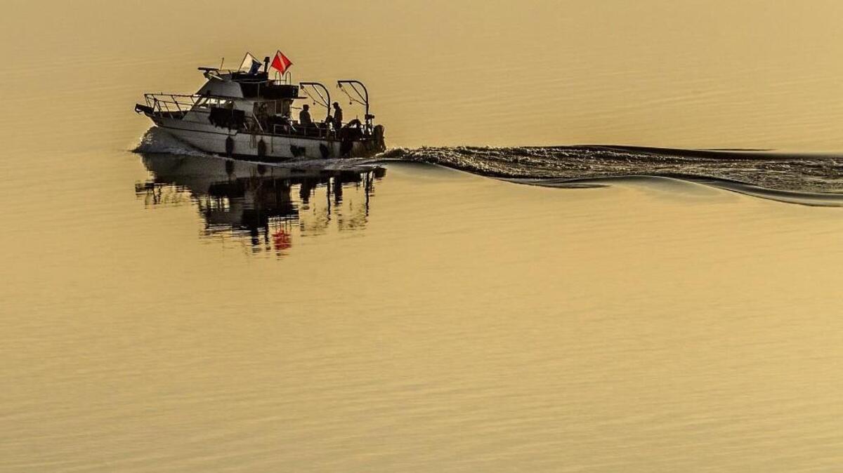 A boat cruises up Drayton Passage as the rising sun gives the water a golden sheen in Longbranch on April 17.