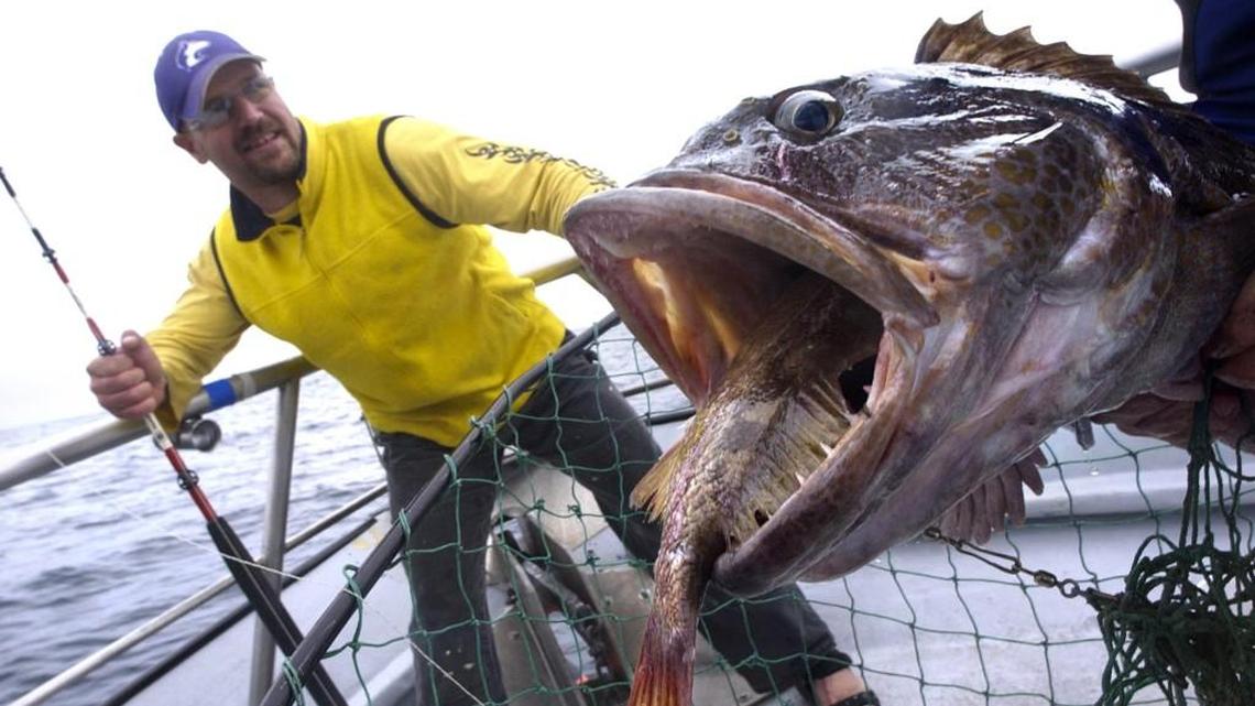 Fishing report for March 11