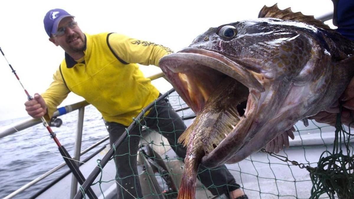 Fishing for ling cod opens Saturday in Marine Areas 1 (Ilwaco), 2 (Westport) and 3 (LaPush).