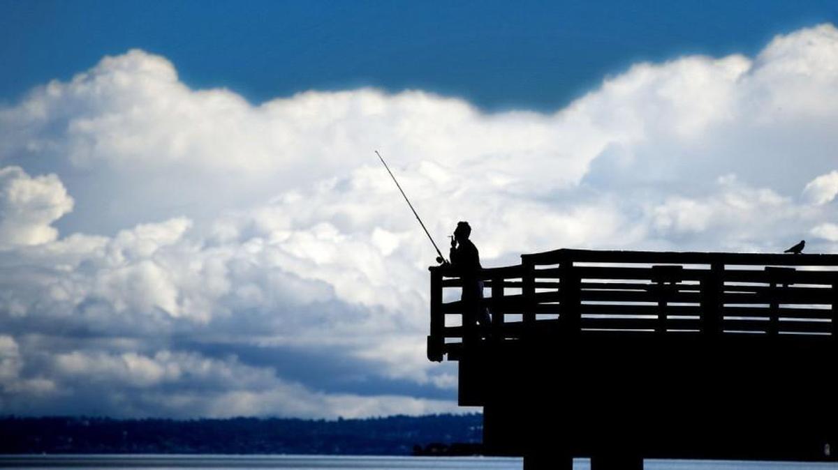 The Les Davis Pier is one of many South Sound locations where squidding action is smoking hot this fall.