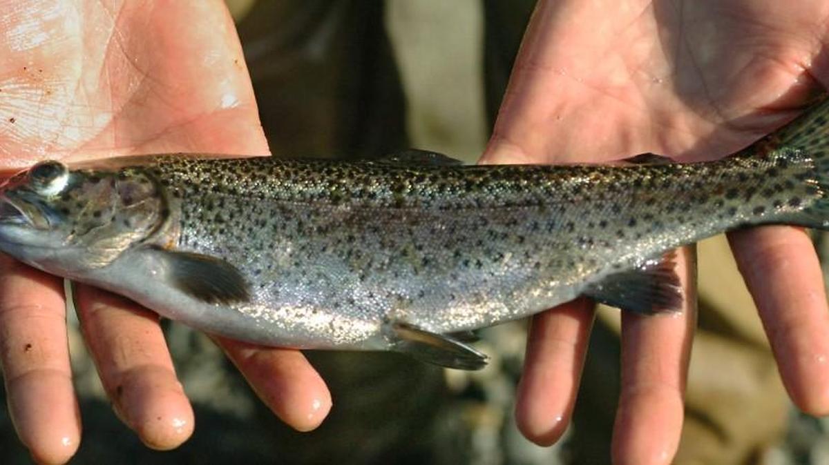 The fishing report for Jan. 3.