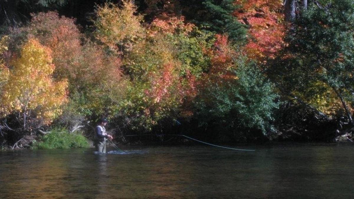 
An angler fishes for trout in the Yakima River just east of Cle Elum. The trout fishing has been good in the last week.
