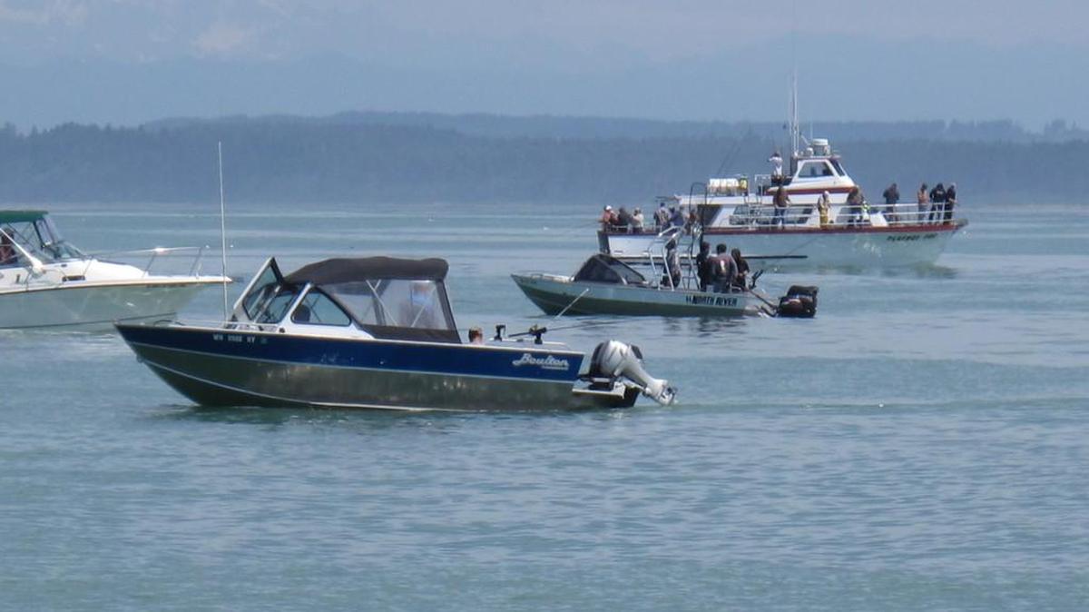 The salmon fishing off Westport has been improving each week, with some fish caught this week topping 30 pounds.