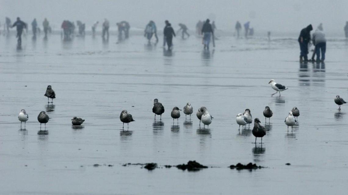 Storms make weekend fishing, clamming conditions dangerous