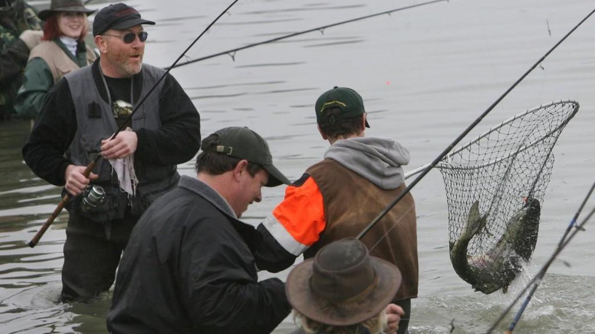 The chum salmon action is providing plenty of smiles for anglers fishing the waters off the Hoodsport fish hatchery.