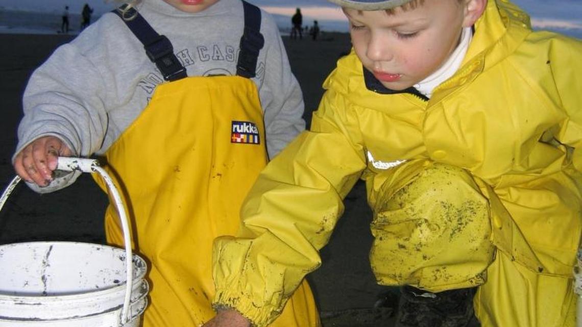 Three areas will be open for the razor clam dig opening Feb. 23