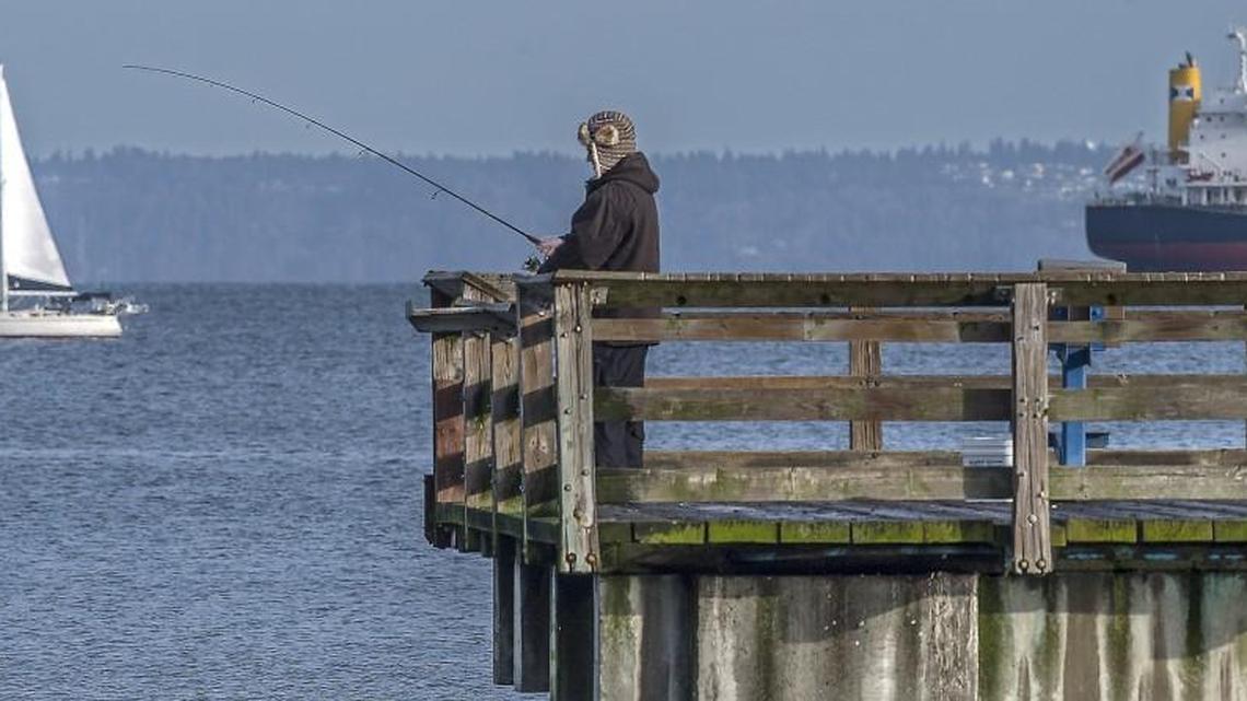Razor clam dig starts Wednesday; stocking of South Sound lakes continues