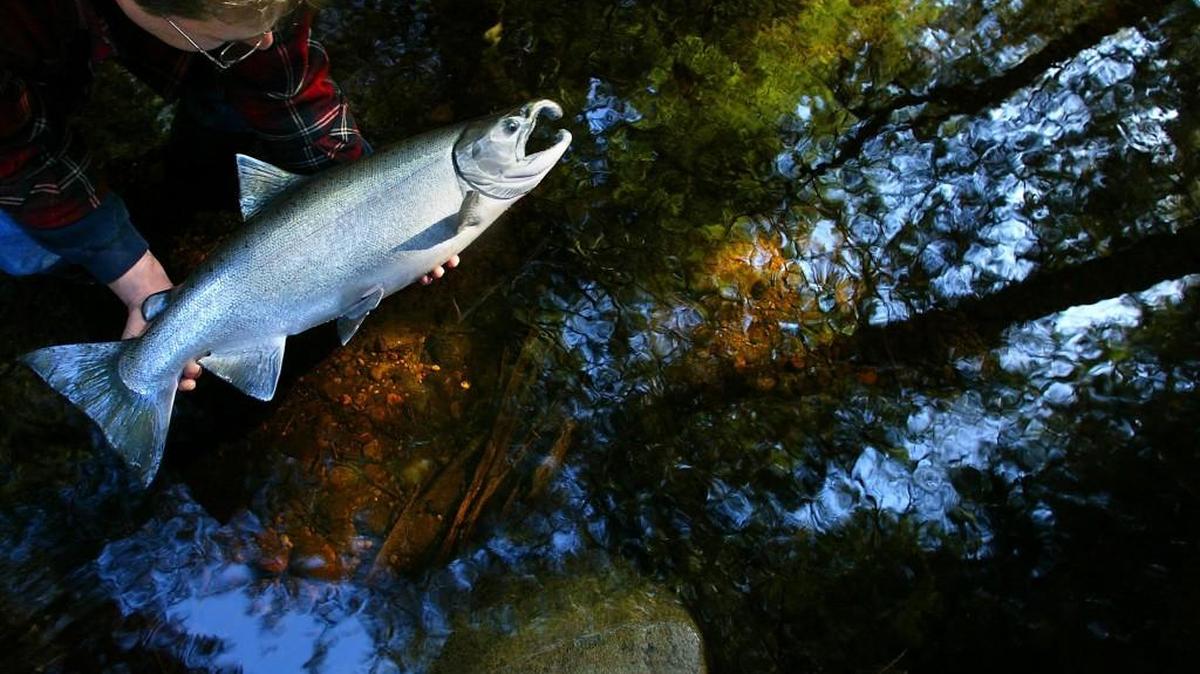 
There are several opportunities for catching fish this week.
