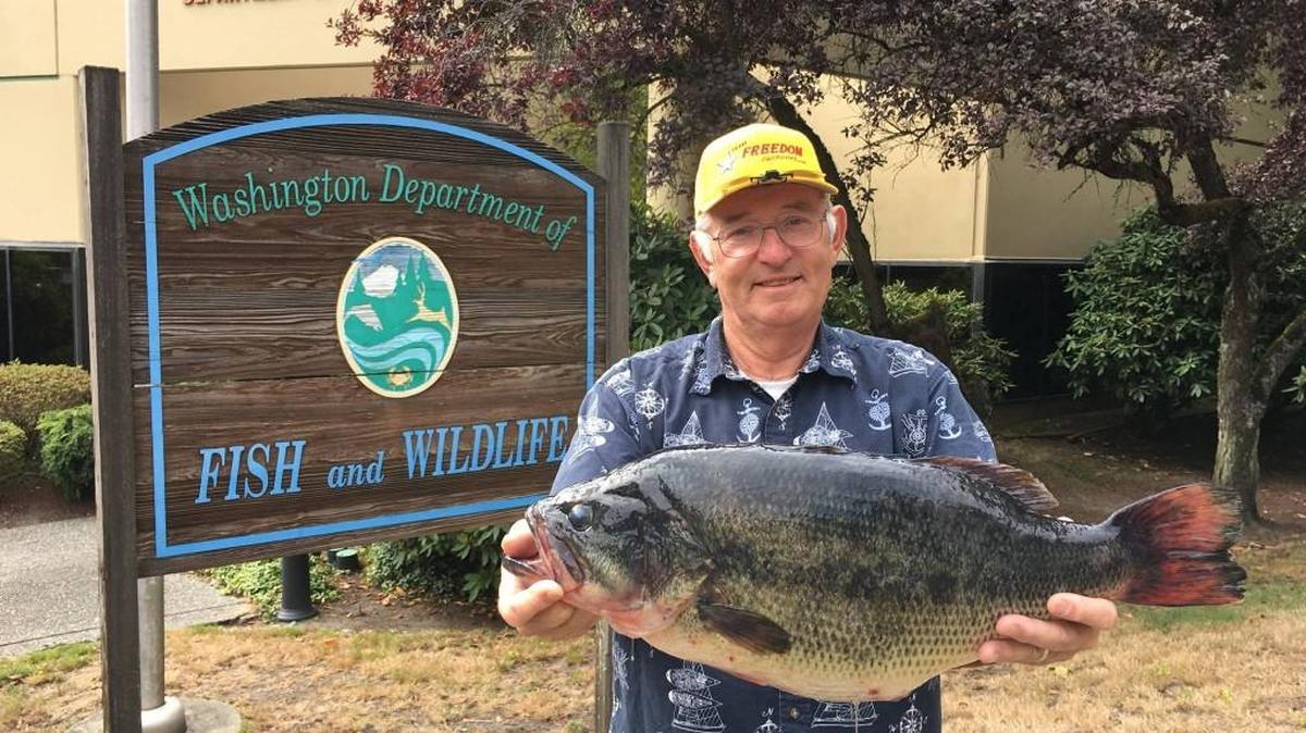 Bill Evans of Bothell holds the 12.53-pound largemouth bass he caught Aug. 8 at Lake Bosworth. The fish broke the 39-year-old state record for the biggest largemouth bass.