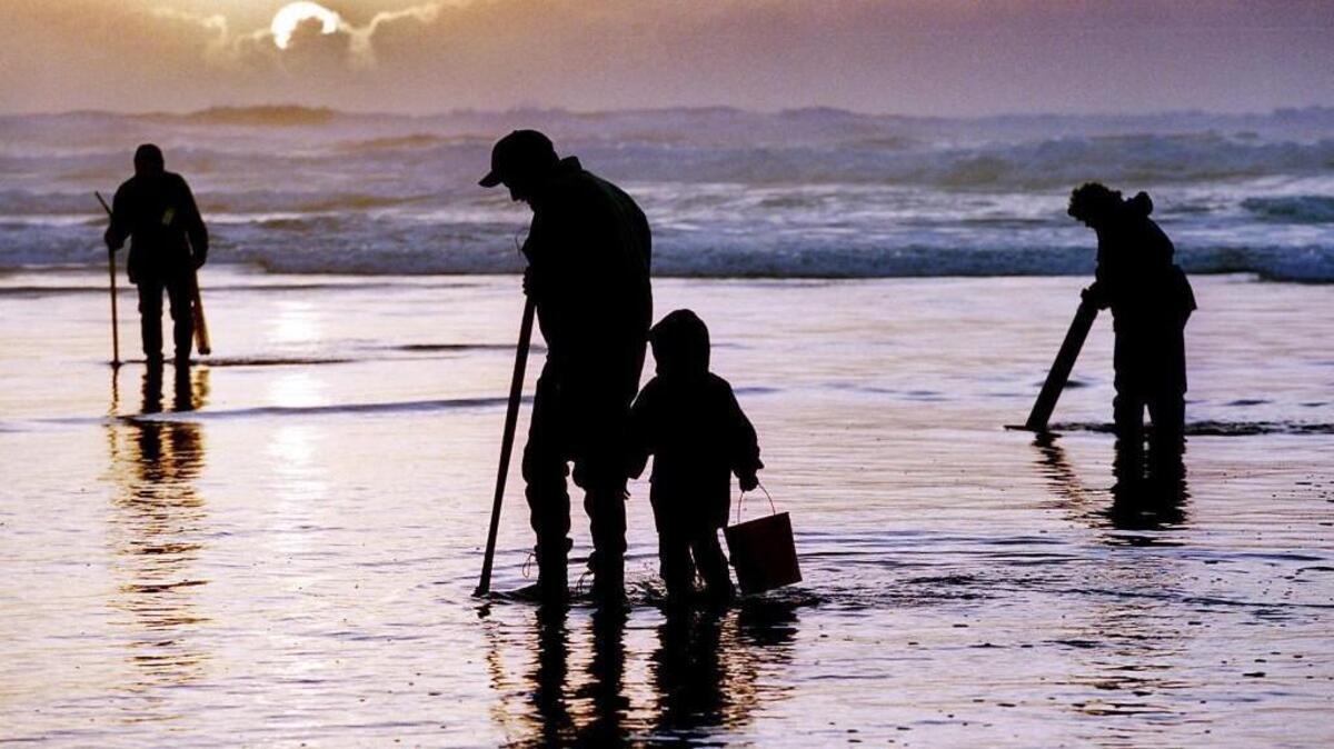 The tradition of clamming draws thousands of families — like these people in November 2000 at Long Beach — and recreational diggers to the Long Beach Peninsula every year.
