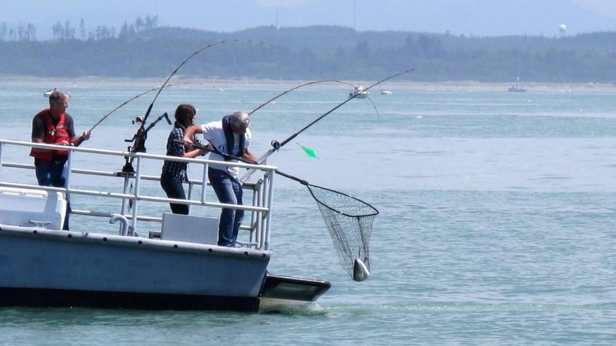 The people aboard this private boat net a salmon while fishing out of Westport in 2014.