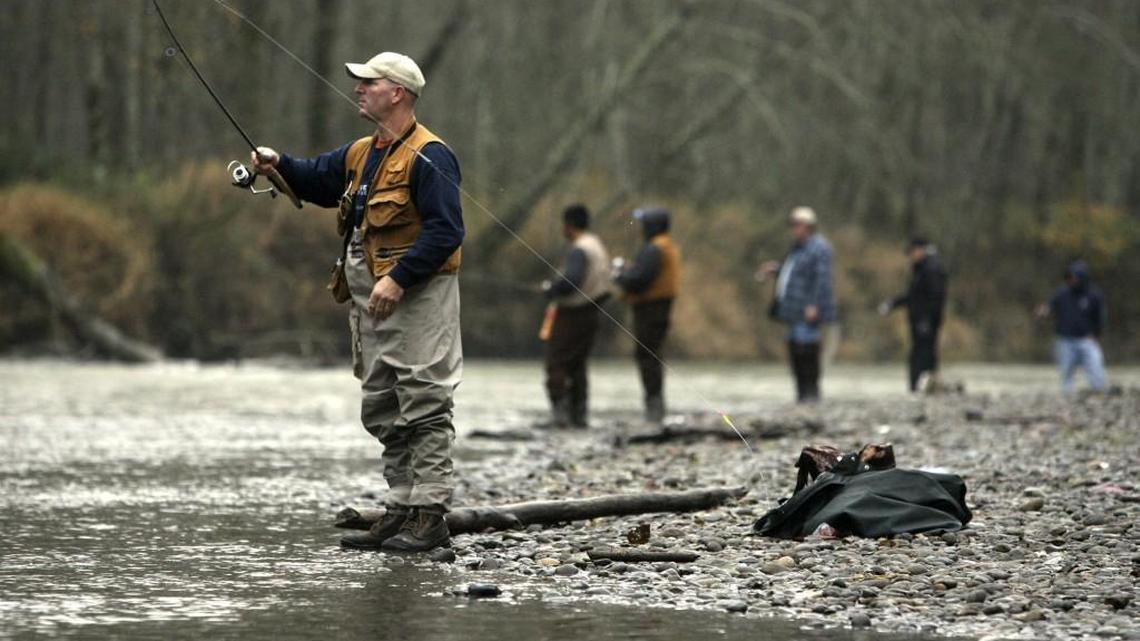 Some businesses face 20-30 percent decline if Puget Sound salmon fishing closes for summer
