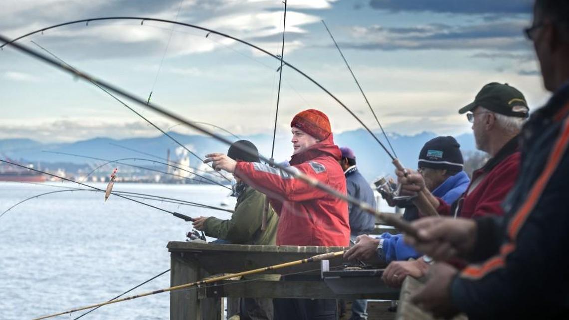 Fishing report for Nov. 20