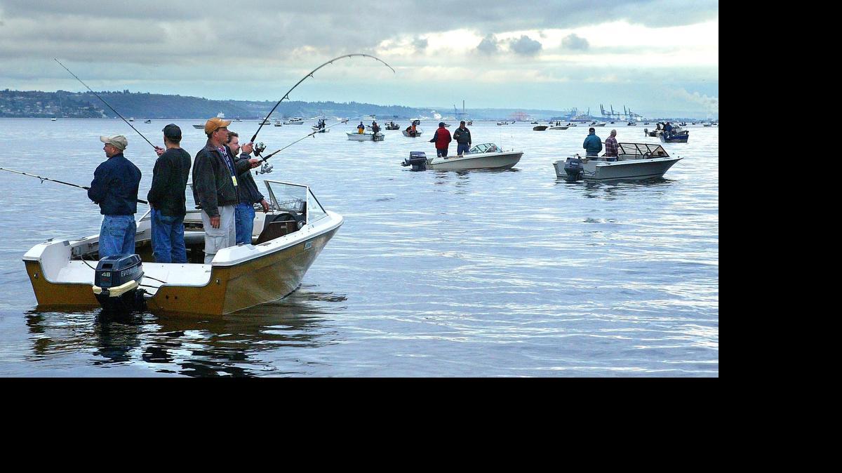 
The chance to win a first prize check of up to $3,500 will certainly attract anglers to the waters off Tacoma and Olympia, and Hood Canal, during one of three salmon derbies to be held in August.
