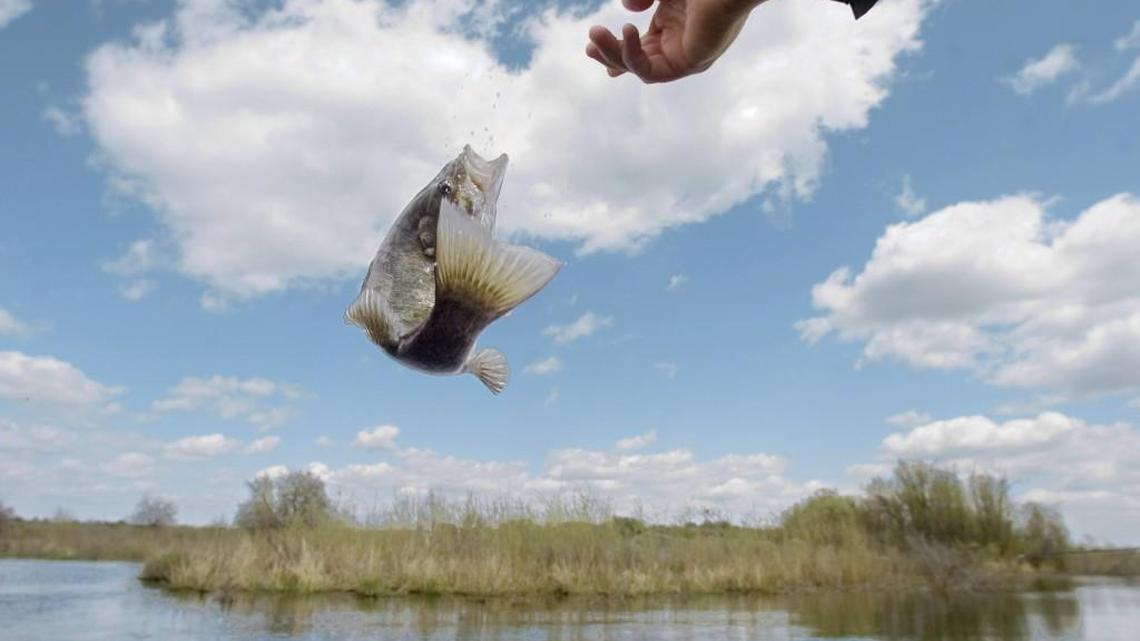 Fishing report for April 8