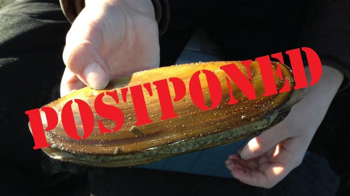 
The state Department of Fish and Wildlife has postponed the start of the razor clam season because domoic acid levels remain above safe levels.
