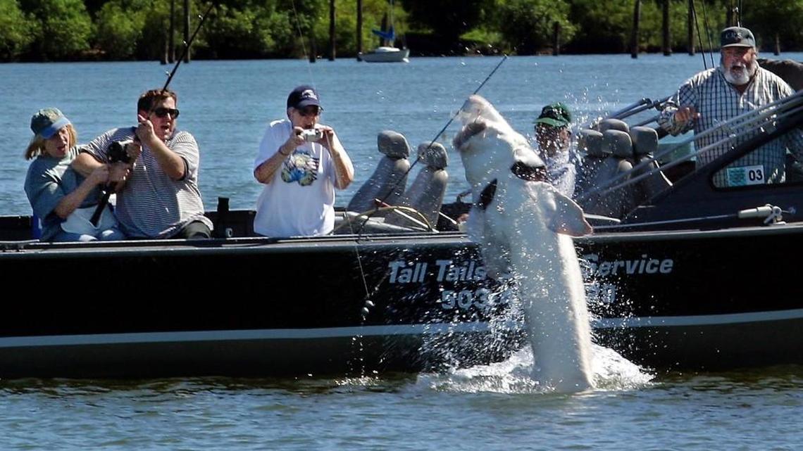 Fishing report for Jan. 12