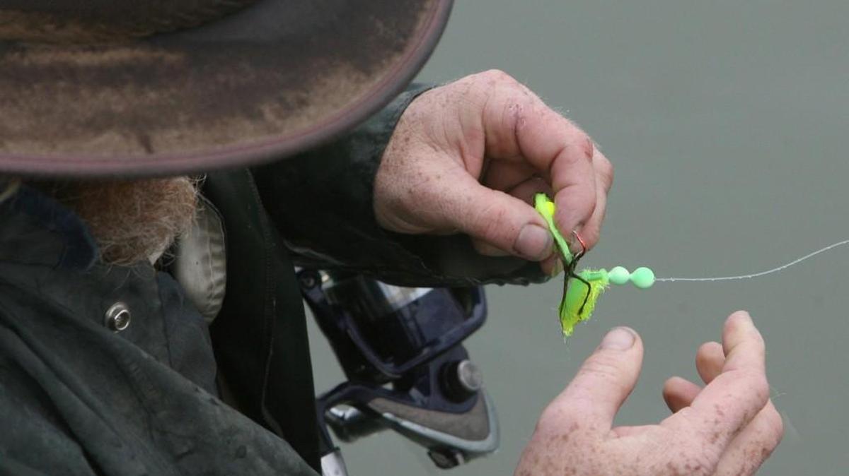 Green seems to be the most effective color for people fishing for chum salmon in the waters off the Hoodsport hatchery.