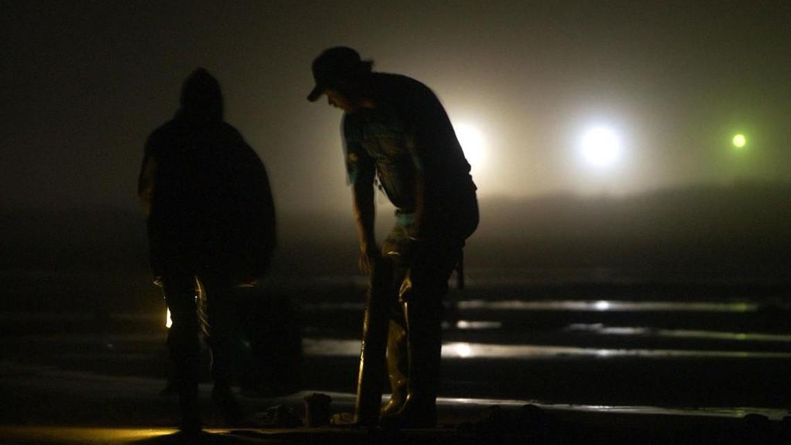 Copalis and Mocrocks will be open for razor clam dig Dec. 30-31