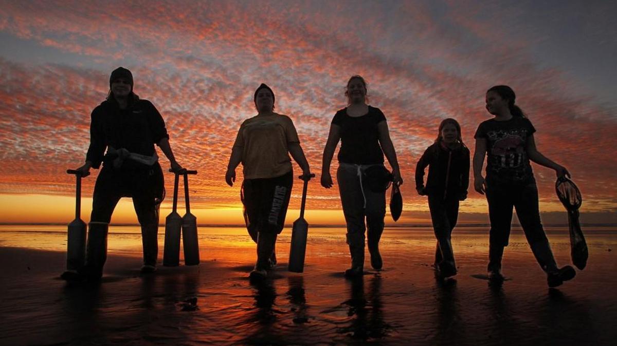 The final razor clam dig of the 2015-16 season is taking place this week at Copalis and Mocrocks.