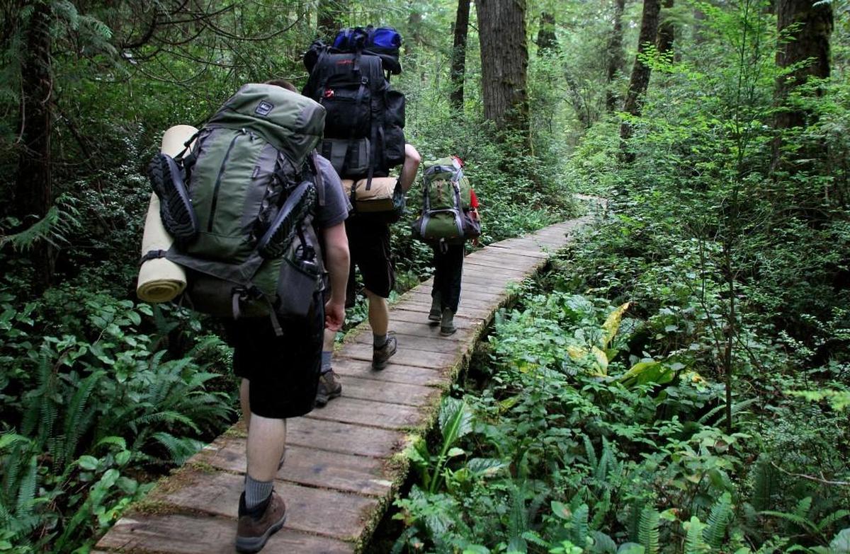 Backpackers hike the boardwalk trail between Lake Ozette and Cape Alava in Olympic National Park.