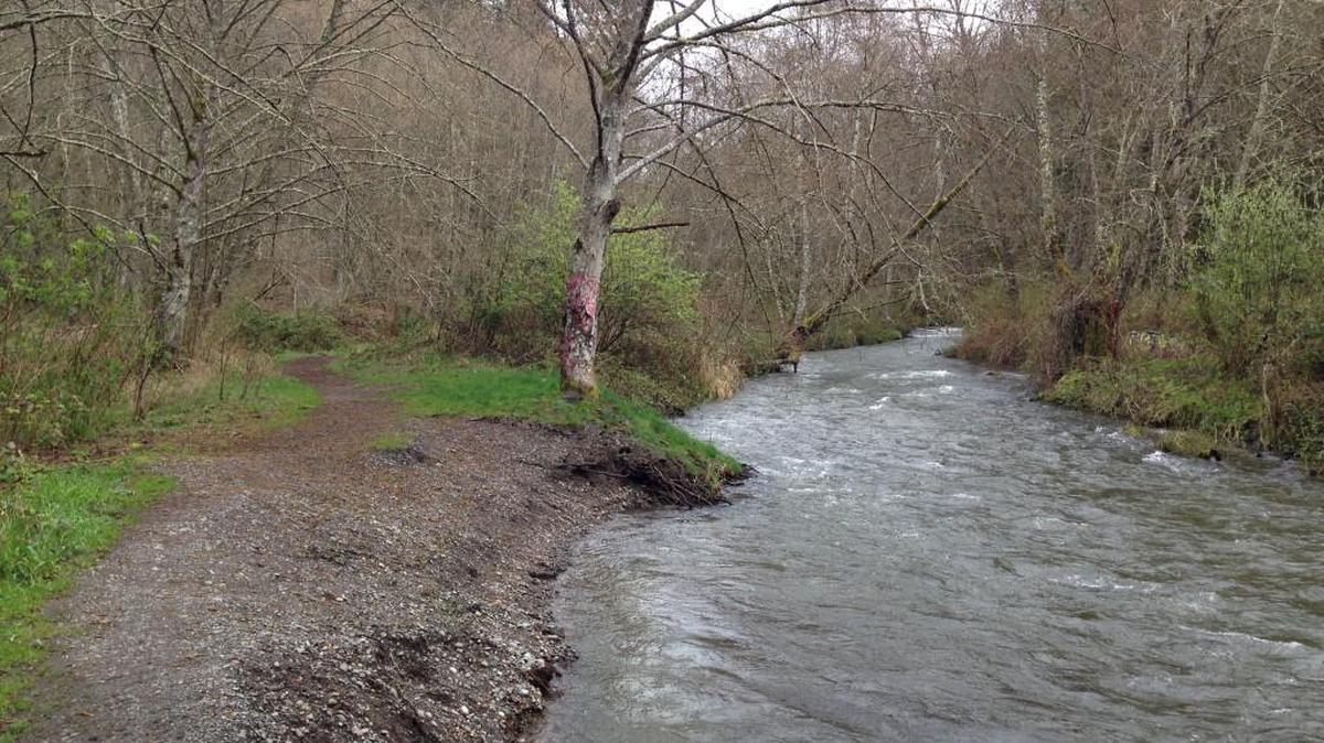 A section of trail along Chambers Creek at Kobayashi Park in University Place.