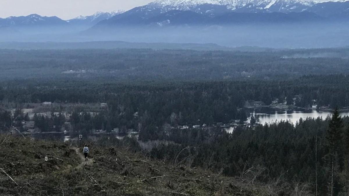 A clear-cut area on Green Mountain opened a sweeping view of the Olympics.