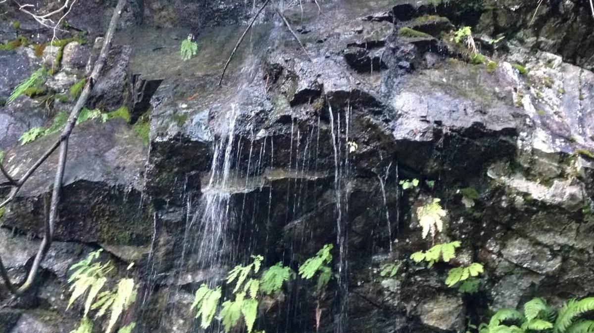 In wetter months, water can be seen running over some of the rock cliffs along Mount Washington trail.