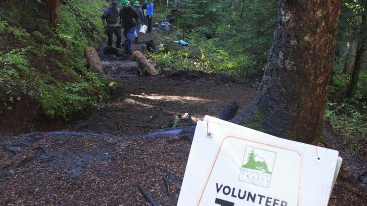 
Volunteers do trail work at Mount Rainier National Park on National Public Lands Day in 2014. This year's event will take place Saturday.
