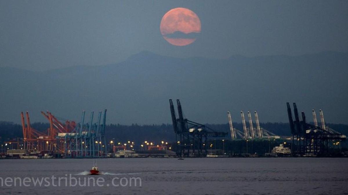 A supermoon rises over the Port of Tacoma on July 12, 2014. Another one will be visible, weather permitting, Sunday (Nov. 13) and Monday.