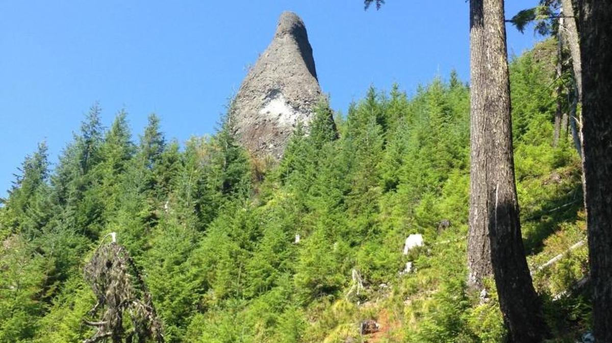 A rock outcropping can be seen less than half a mile up the West Boundary Trail near Mowich Lake.