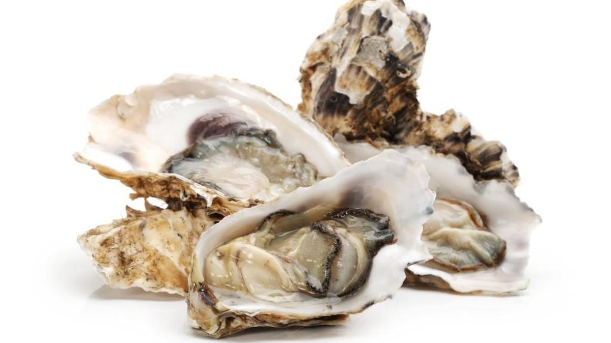 It will be all about oysters at Saturday’s Hama Hama Oyster Rama in Lilliwaup.