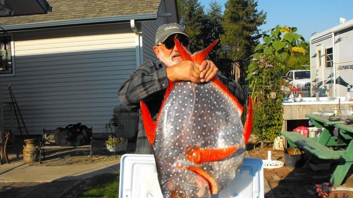 Jim Watson of Coeur d’Alene, Idaho, holds the 35.67-pound opah he caught in September. The fish broke the old state record by 7.49 pounds.