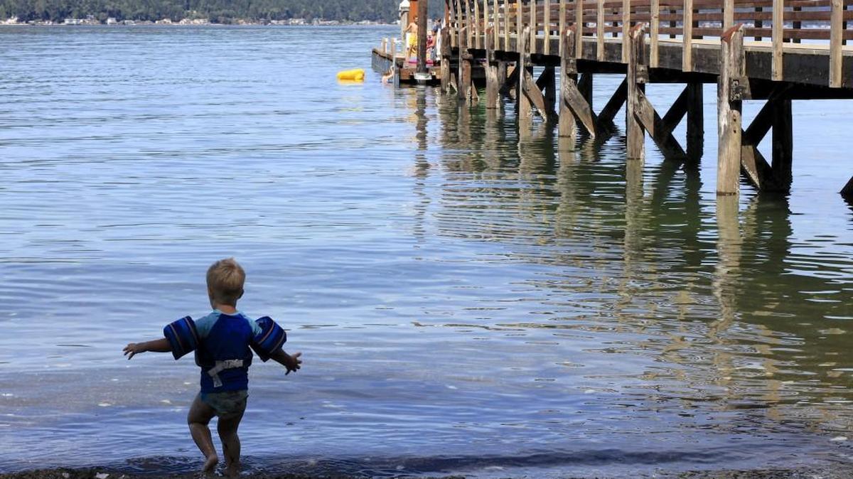 Twanoh State Park beach on Hood Canal will host a ShellFest 2016 event Saturday.