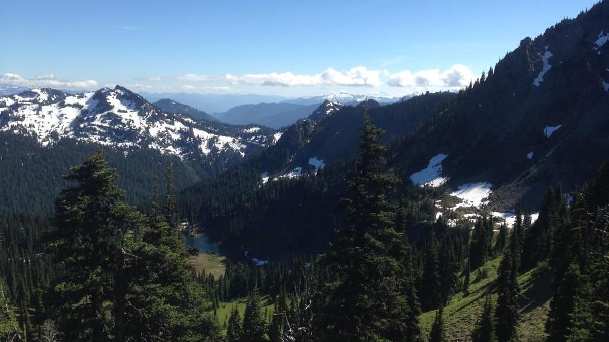 A view of the Cascades from the Pacific Crest Trail near Chinook Pass.