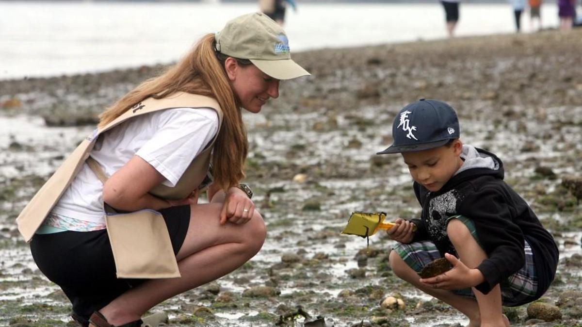 The South Sound Estuary Association is looking for volunteers to help with its Meet the Beach program this summer. Training for volunteers will begin in April.
