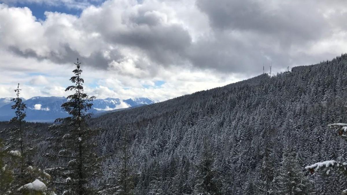 Hikers are treated to views even before reaching the top of West Tiger 3 in Tiger Mountain State Forest.