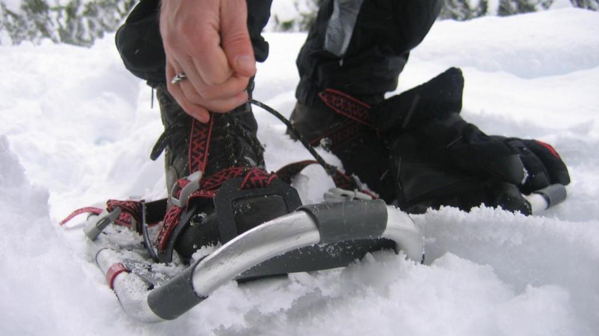 Metro Parks Tacoma is offering an adult snowshoe walk Saturday.