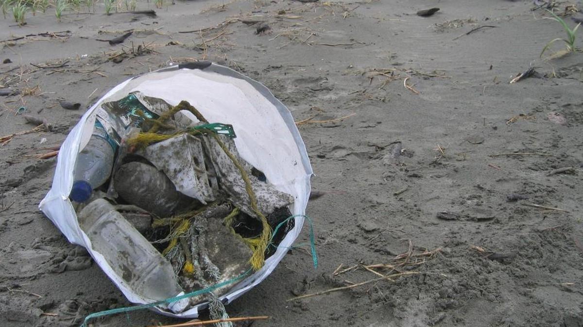 Volunteers are needed to help remove marine debris from coastal beaches during the Washington Coast Cleanup on April 29.