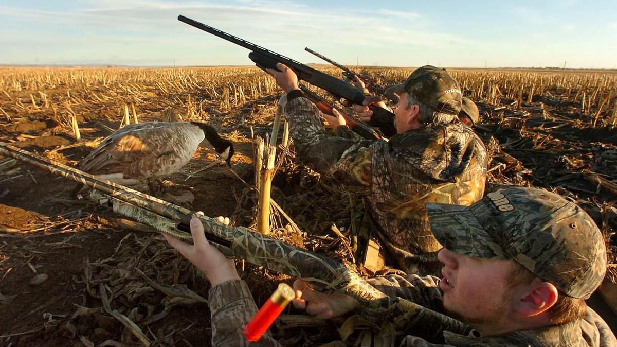 The state Department of Fish and Wildlife will switch Dec. 19 to a new system for selling hunting and fishing licenses. The current system will be shut down Dec. 17.