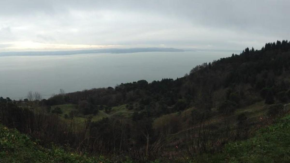 The view from the lookout above Maury Island Marine Park is near the highest point on the island.