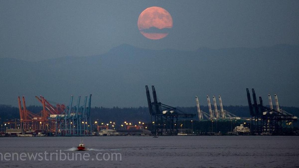 
A supermoon rises over the Port of Tacoma on July 12, 2014. The next supermoon will occur Saturday night. 
