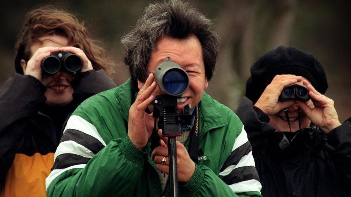 The Tahoma Audubon Society is holding a beginning birding class, starting Monday.