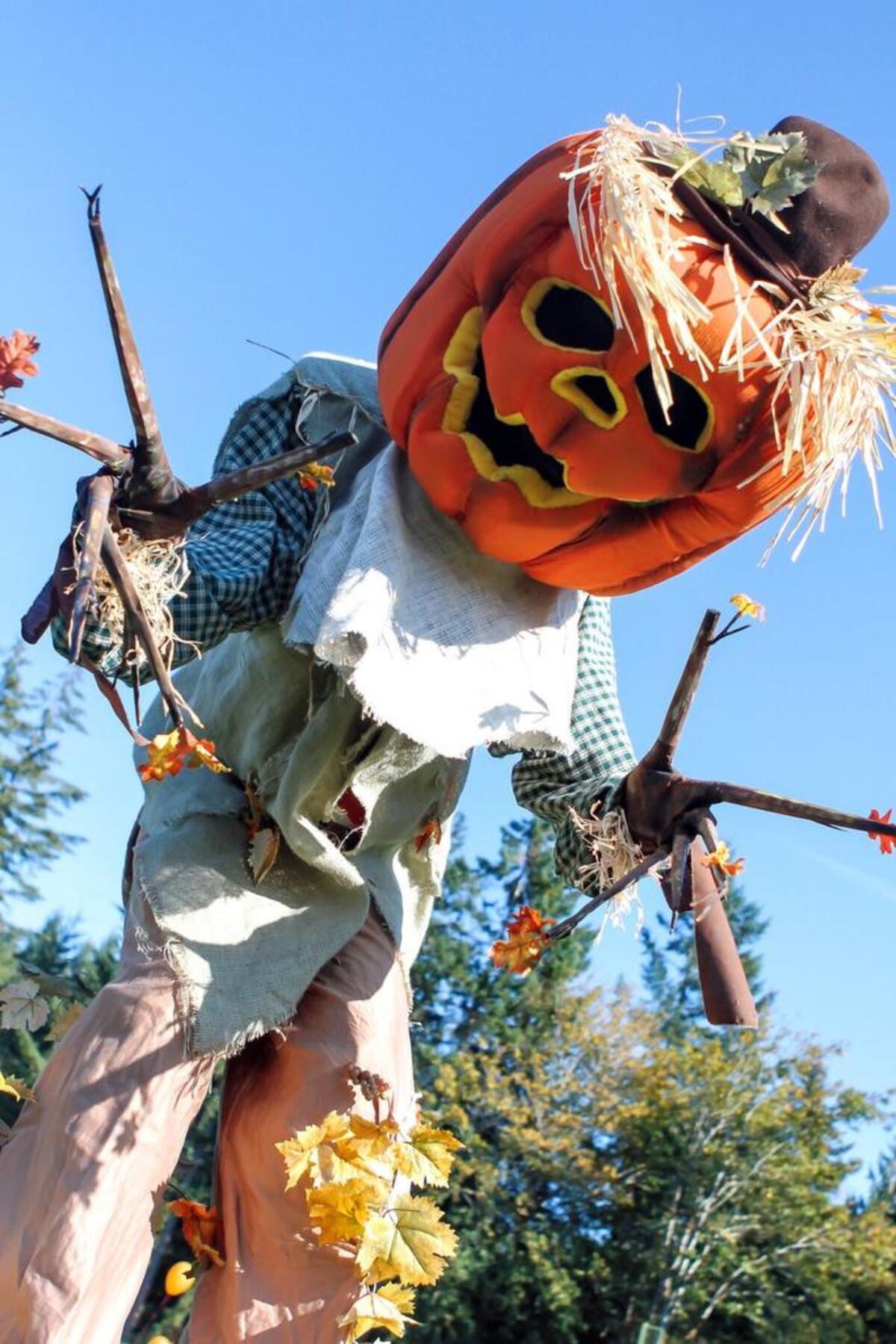 PenMet Parks will hold its Scarecrow Festival Oct. 7 at Sehmel Homestead Park in Gig Harbor.