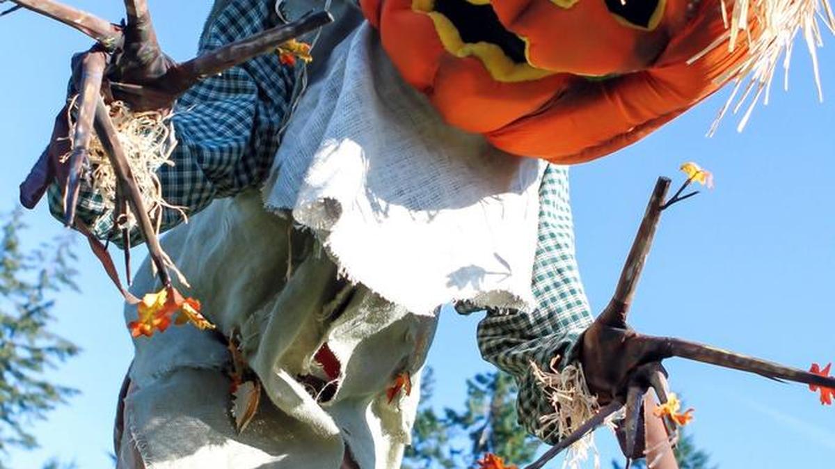 PenMet Parks will hold its Scarecrow Festival Oct. 7 at Sehmel Homestead Park in Gig Harbor.