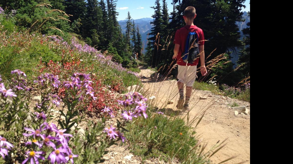
Arriving early on summer weekends greatly increases your chances of having Mount Rainier National Park’s trails and wildflowers to yourself before the masses arrive.

